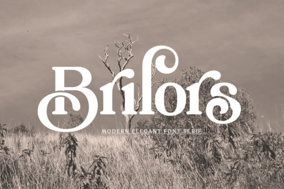 Brilors: An Elegant Serif for Modern Branding