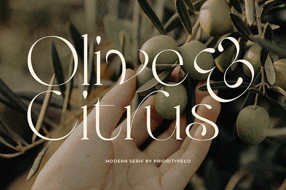 Elevate Your Brand with Olive & Citrus: A Modern Serif Typeface