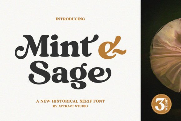 Mint and Sage: A Serif Font for Modern, Elegant Design