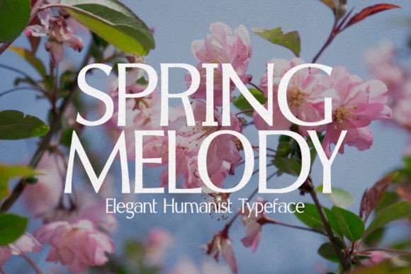 Spring Melody: The Elegant Humanist Typeface for Luxury Branding